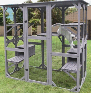 Read more about the article Catio Outdoor Enclosure for Pet Sanctuary & Adventure