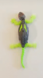 Read more about the article Wall Crawler Gecko that is Boldy Different for Next Gen Play