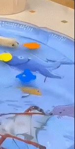 Read more about the article Cat Cooling Water Mat with Interactive Floating Fish – Anti-Claw Design – Engaging and Smart!