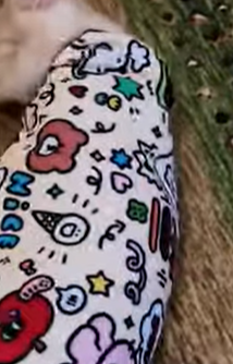 Safe Cat Wrap for Grooming