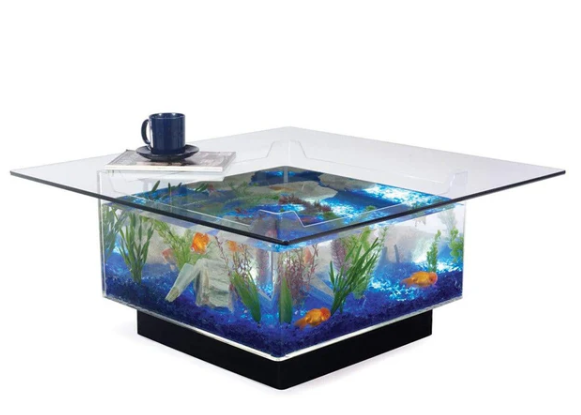 Unique 25 Gallon Coffee Table Aquarium Tank