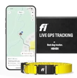 Read more about the article Fi Series 3 Smart Dog Collar-GPS Tracking:  Smart Parenting!