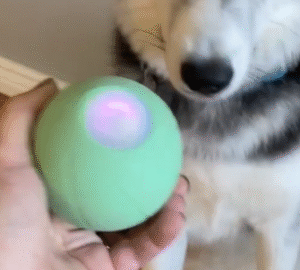 Read more about the article Intelligent Interactive Dog Ball:   Innovation for your Pet