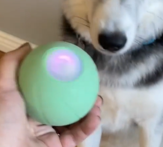 Intelligent Interactive Dog Ball