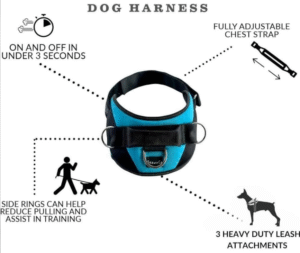 Read more about the article No-pull Dog Harness
