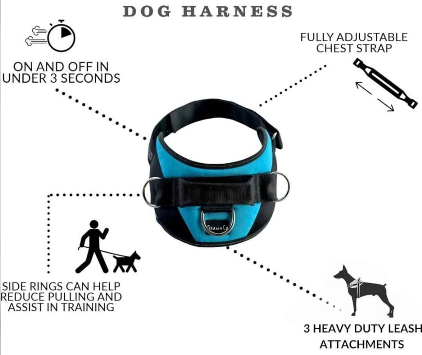 Read more about the article No-pull Dog Harness